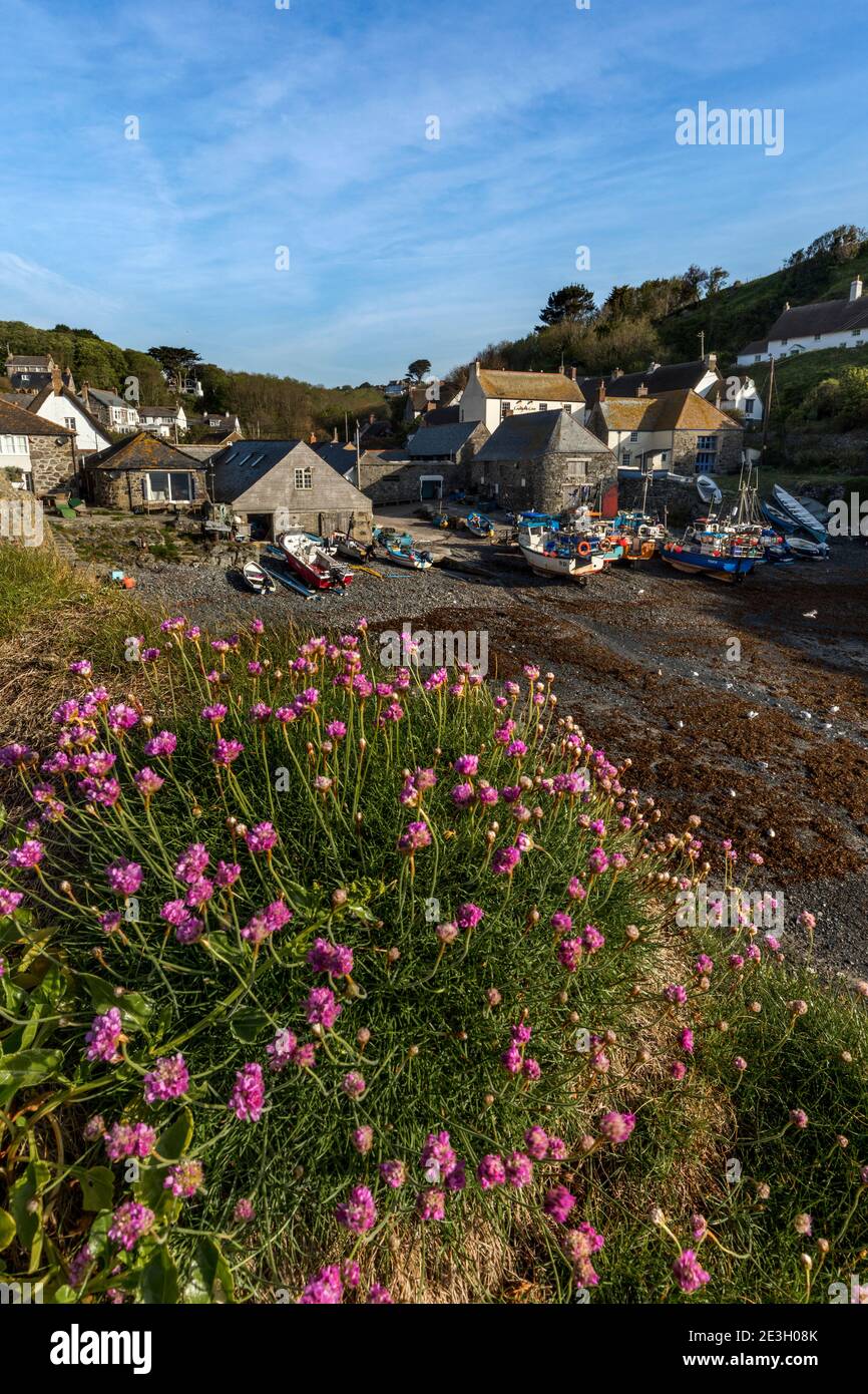 Cadgwith, Cornwall, UK Banque D'Images