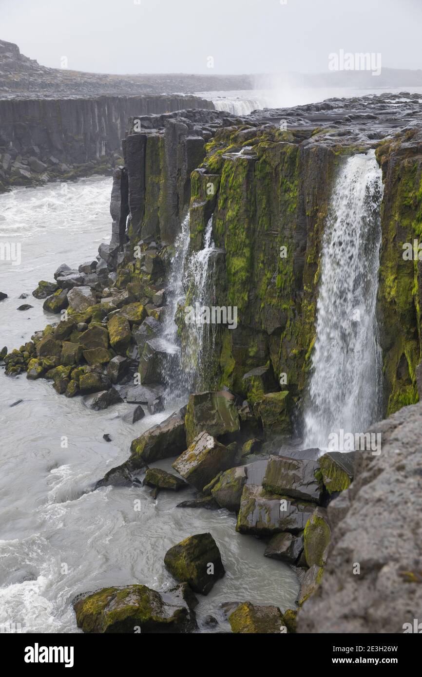 Selfoss, Wasserfall auf Island, Wasserfall des Flusses Jökulsá á Fjöllum Gletscherfluß, Gletscherfluss, Jökulsárgljúfur-Nationalpark, Schlucht Jökulsá Banque D'Images