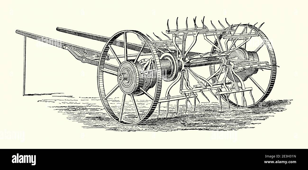 Une vieille gravure d'un faneur de foin anglais. Il est issu d'un livre victorien d'ingénierie mécanique des années 1880. Une faneuse (faneuse de foin) est une machine utilisée dans la fabrication de foin. Il est utilisé après la coupe et avant la collecte, en utilisant des fourches mobiles pour aérer ou "wuffle" le foin et accélérer le processus de séchage. Ce faneur a été tiré par un cheval, avec la rotation de l'essieu entraînant un engrenage qui a actionné un certain nombre de bras avec des doigts métalliques (dents) aux extrémités. Ceux-ci ramassent le foin et le dispersent. Banque D'Images