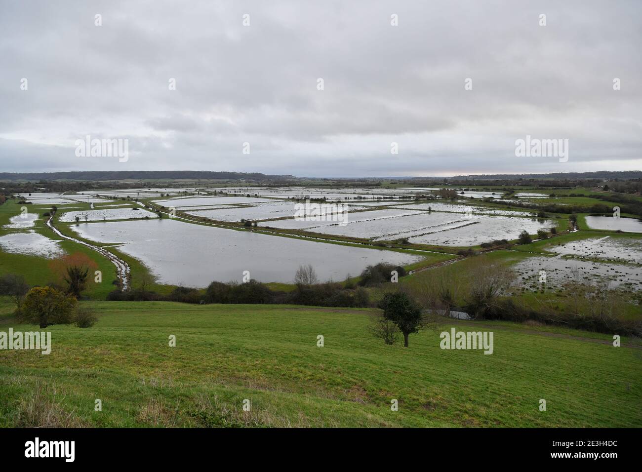 Les champs ont été inondés à travers les niveaux du Somerset près de Burrowbridge, où l'eau de surface est déjà élevée par endroits. Date de la photo: Mardi 19 janvier 2021. Banque D'Images