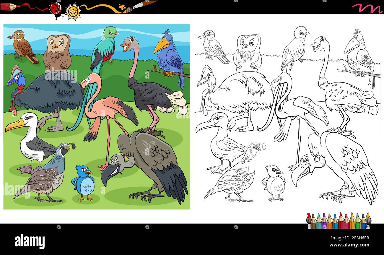 Illustration de dessins animés d'oiseaux animaux sauvages personnages groupe coloriage livre page Illustration de Vecteur