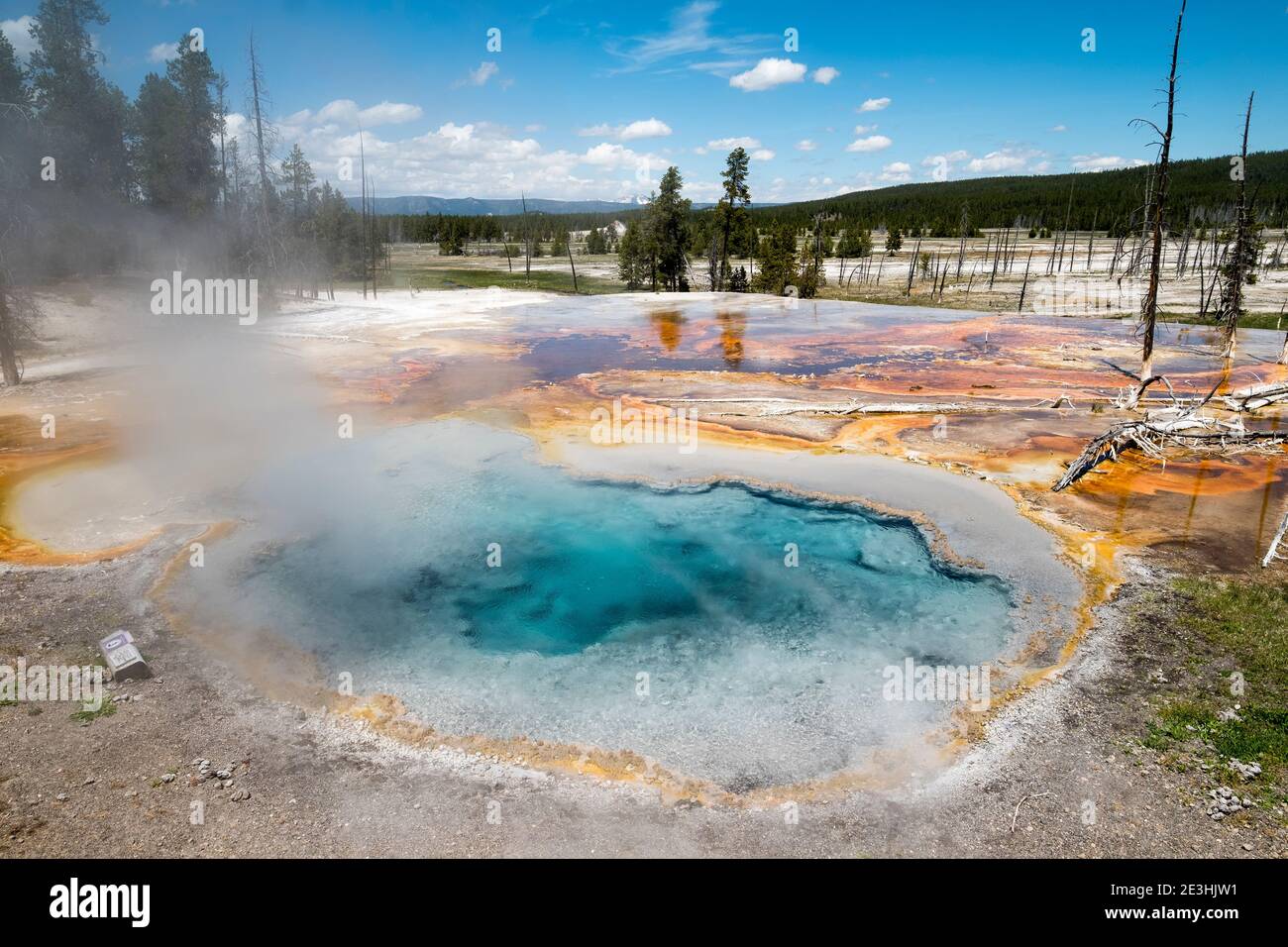Source d'eau chaude de Silex, parc national de Yellowstone, Wyoming, États-Unis. Banque D'Images