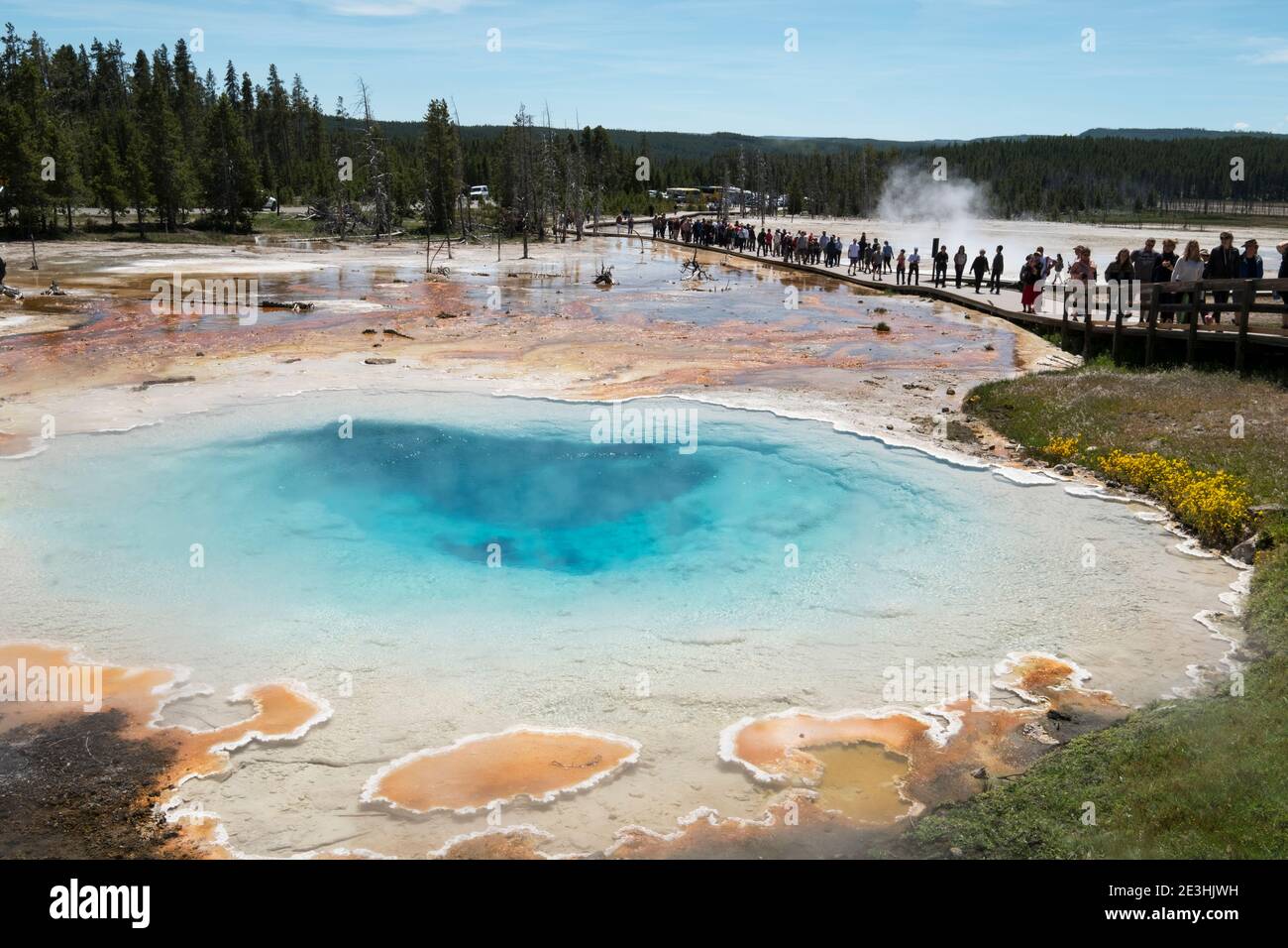 Source d'eau chaude de Silex, parc national de Yellowstone, Wyoming, États-Unis. Banque D'Images