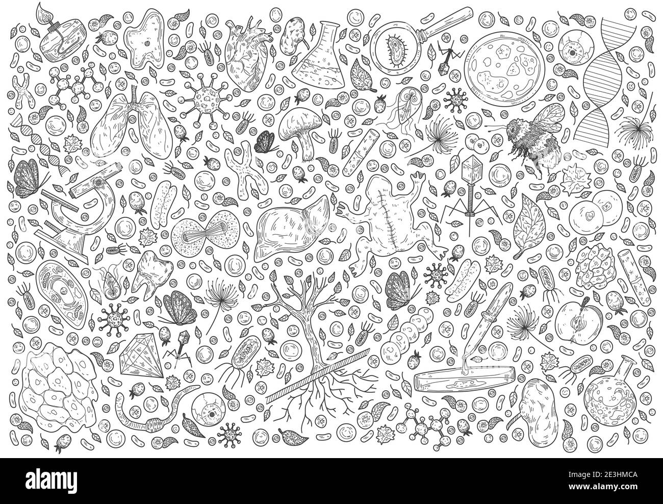 Illustration vectorielle Doodle Science . Ensemble biologie et biotechnologie. Main esquisses sur le thème de Zoologie, Botanique, Anatomie sur fond blanc. Illustration de Vecteur