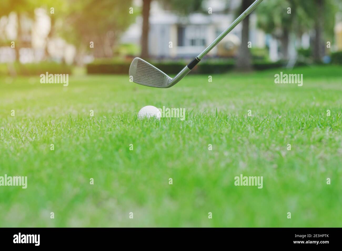 Gros plan sur le terrain de golf avec une balle de golf sur l'herbe verte. Banque D'Images