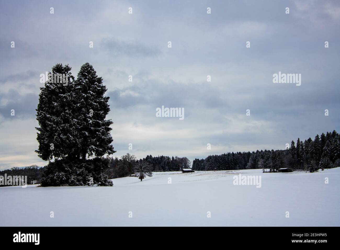 En plein air, l'hiver est pittoresque par temps froid et neige Europe centrale Banque D'Images