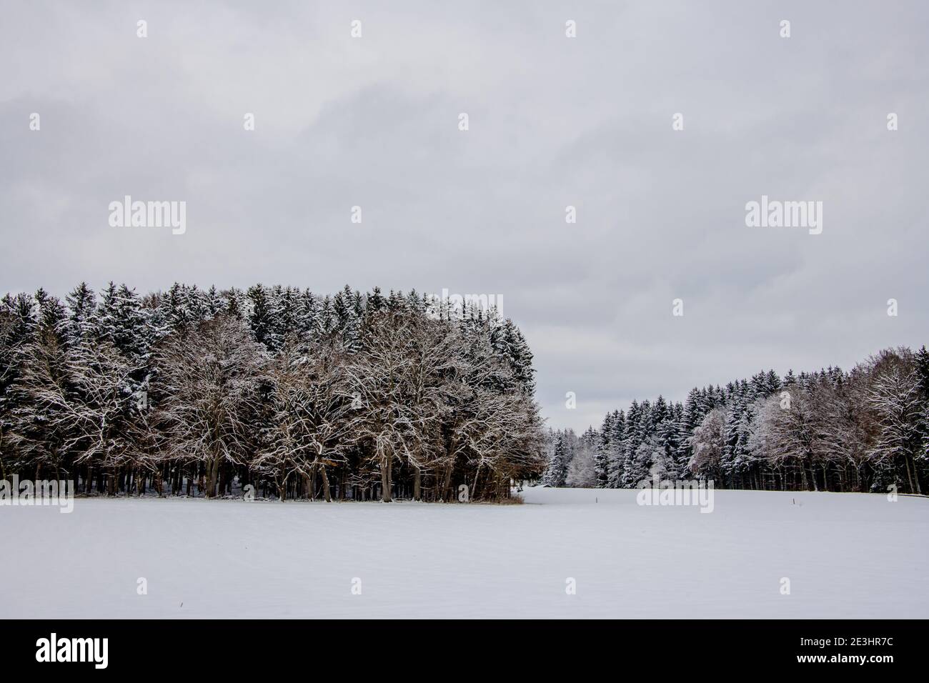 En plein air, l'hiver est pittoresque par temps froid et neige Europe centrale Banque D'Images