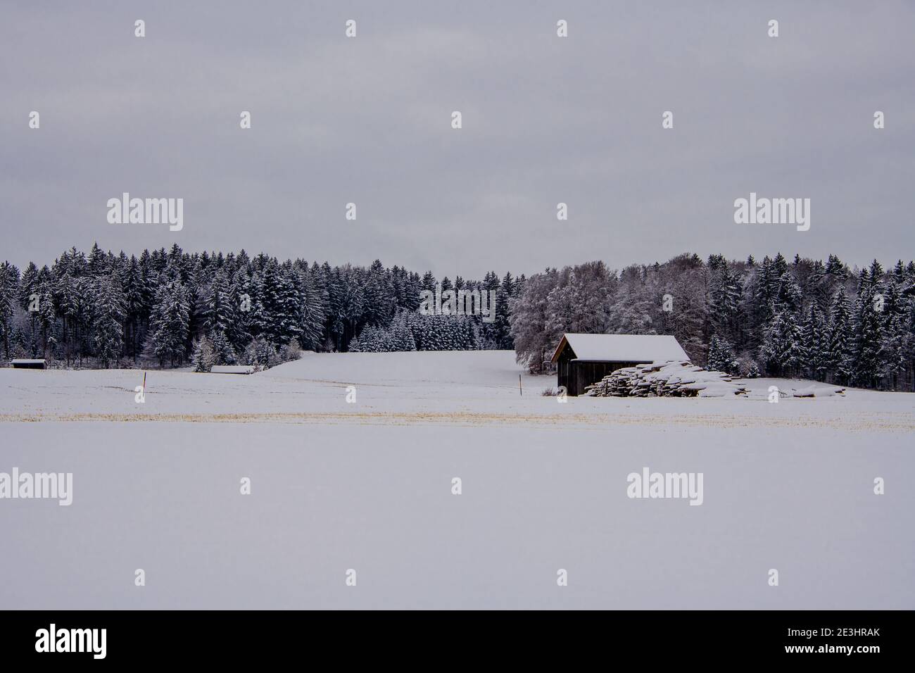 En plein air, l'hiver est pittoresque par temps froid et neige Europe centrale Banque D'Images
