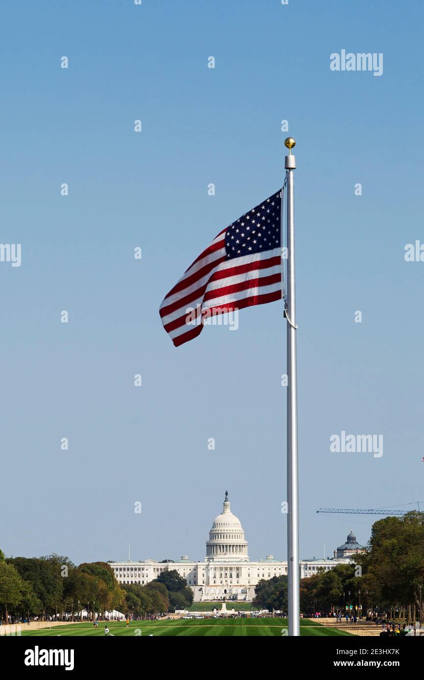 Drapeaux américains volant devant le Capitole des États-Unis à Washington DC, États-Unis. Les drapeaux sont sur le National Mall. Banque D'Images