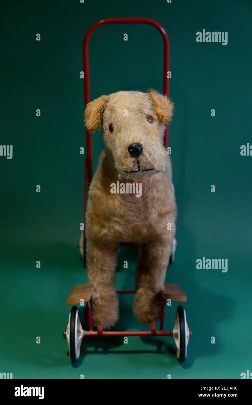 Un ancien Terrier irlandais Push Along Dog Walker Toy de Les années 1950 faites par Pedigree Banque D'Images