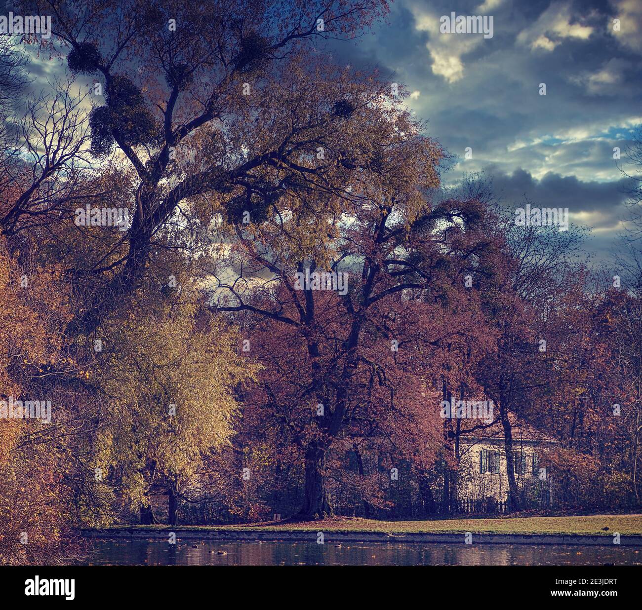 Vue d'automne d'une villa ancienne romantique entourée d'un parc vert avec de hauts arbres sur un bord de lac Banque D'Images