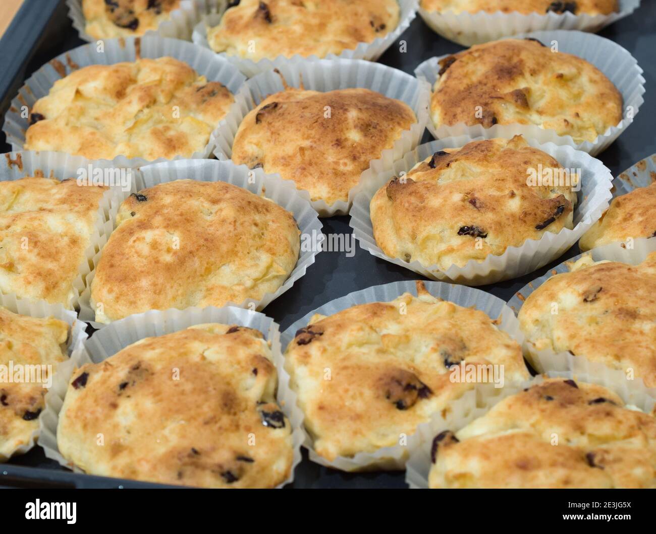 Muffins aux pommes fraîches et au fromage cottage avec raisins secs Banque D'Images