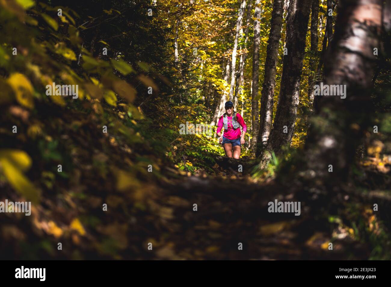Femme en train de courir dans les bois des White Mountains Banque D'Images