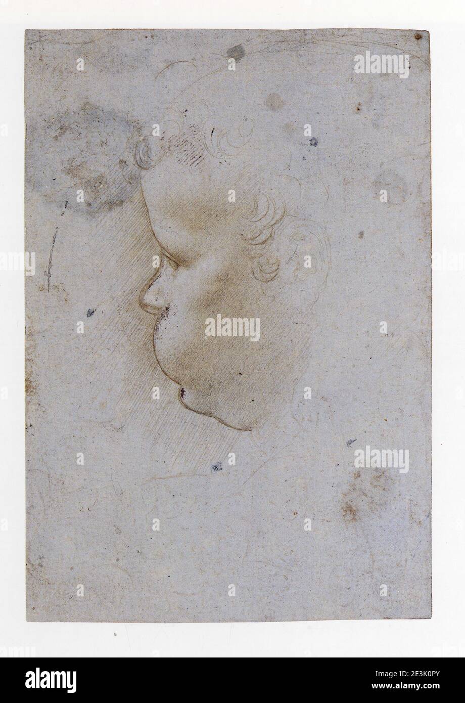 GIOVANNI ANTONIO BOLTRAFFIO. PROFIL D'UN ENFANT TOURNÉ VERS LA GAUCHE. Banque D'Images