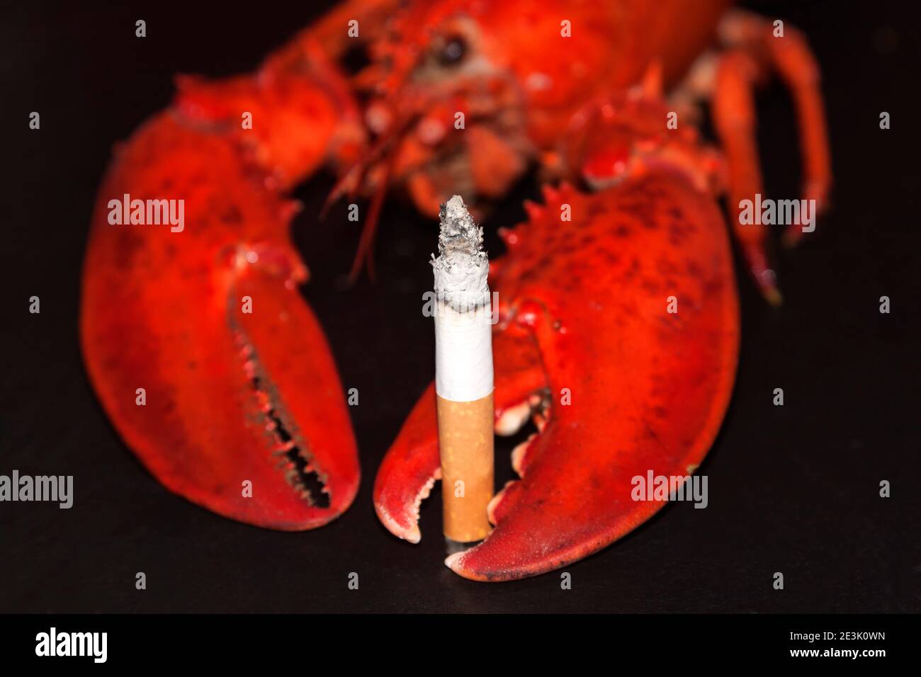 Photo symbolique du cancer du poumon Banque D'Images