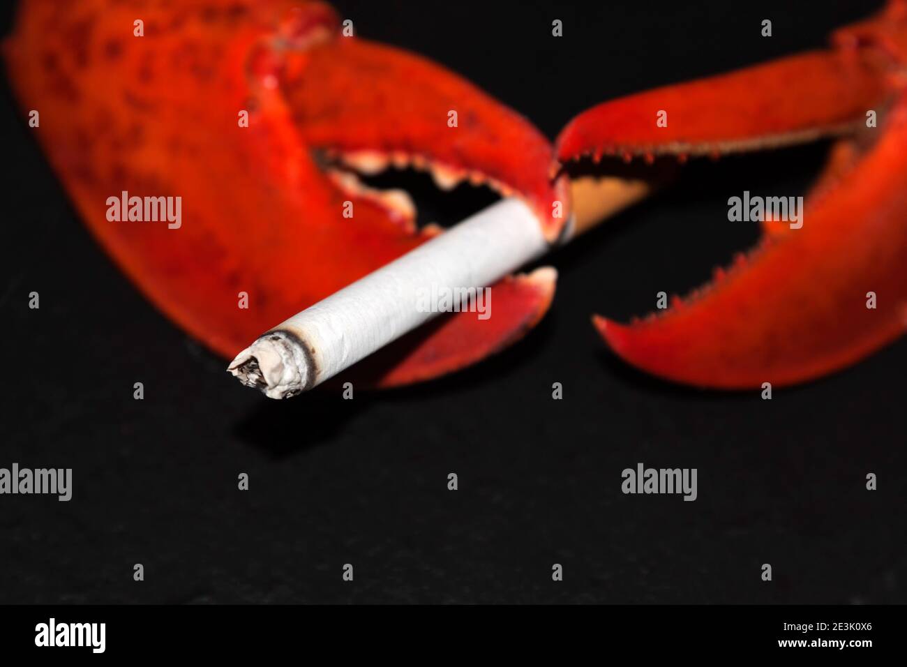 Photo symbolique du cancer du poumon Banque D'Images