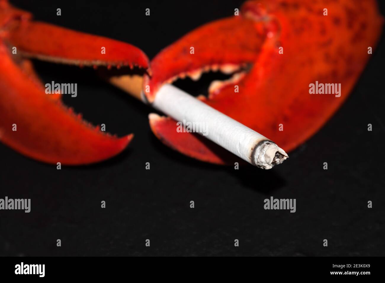 Photo symbolique du cancer du poumon Banque D'Images