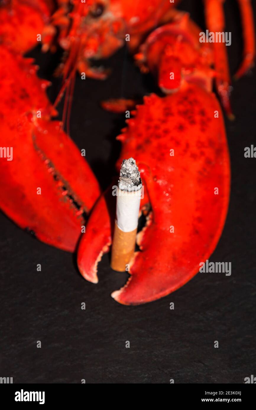 Photo symbolique du cancer du poumon Banque D'Images