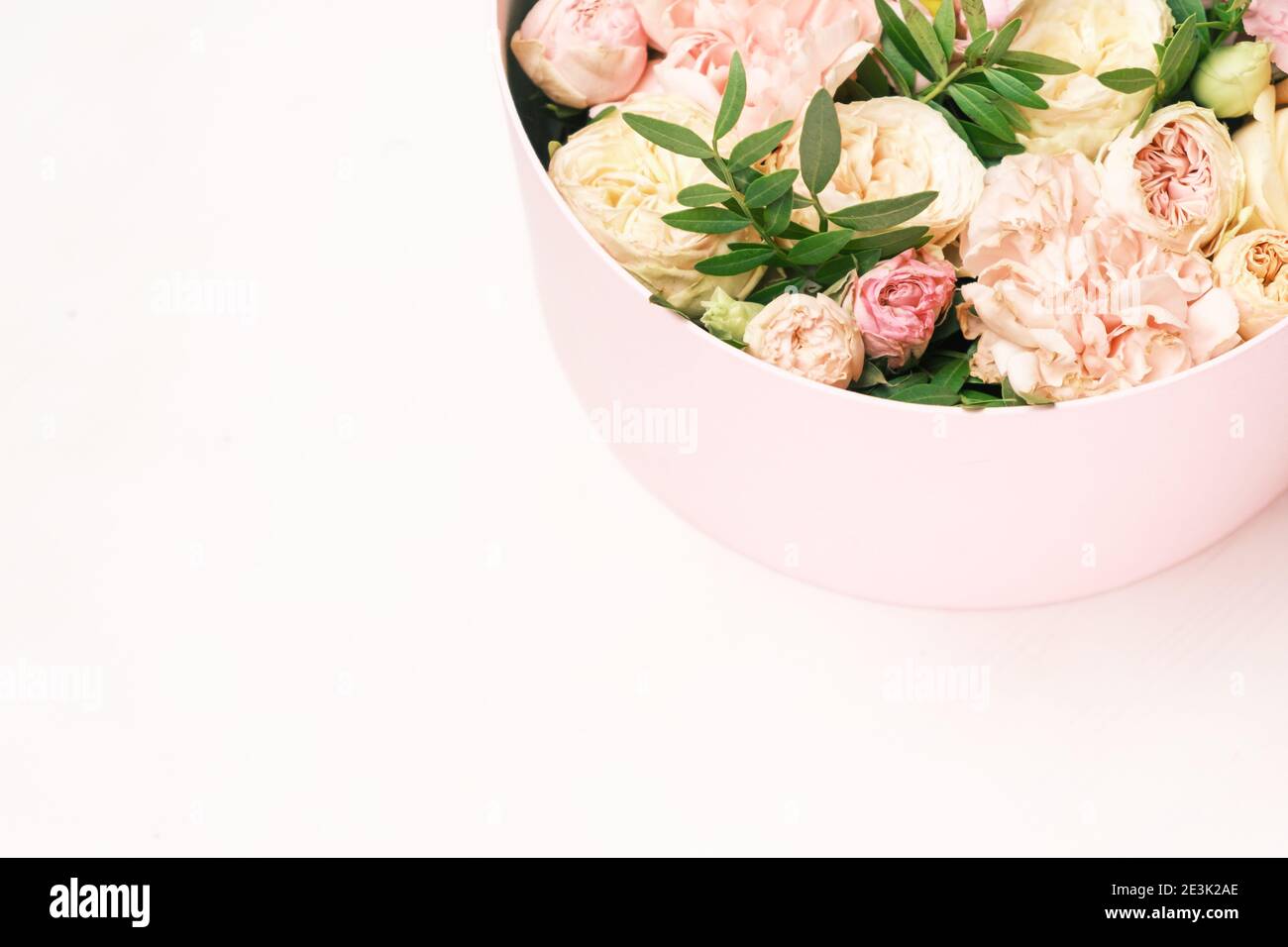 Une fleur élégante et délicate dans une boîte ronde à chapeau sur fond rose avec espace de copie. Boîte cadeau pour le 8 mars, Journée internationale de la femme Banque D'Images
