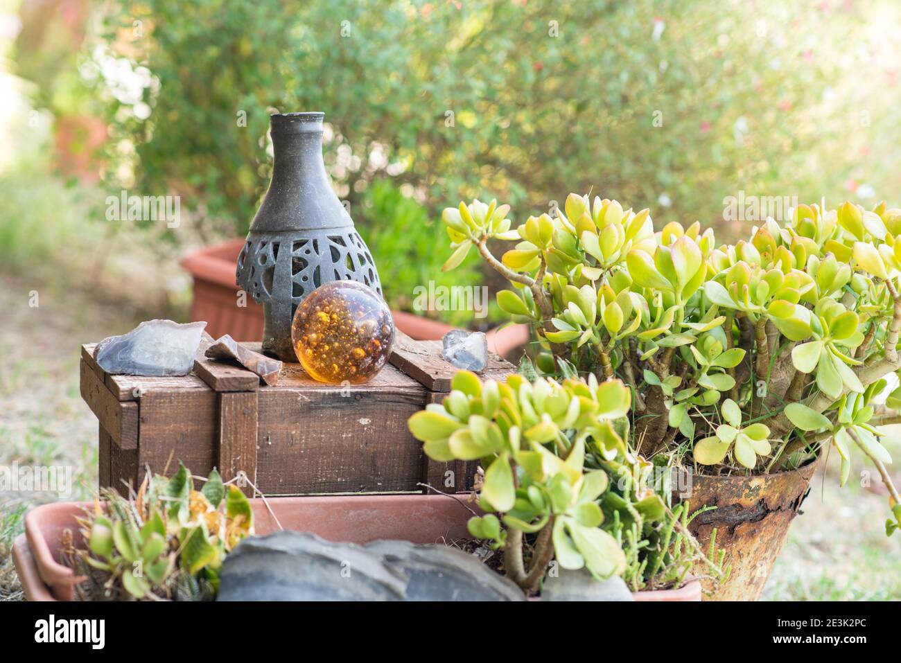 Design de jardin recyclé et style de vie à faible gaspillage. Boîte rustique en bois avec vase et boule de verre magique dans un jardin. Banque D'Images