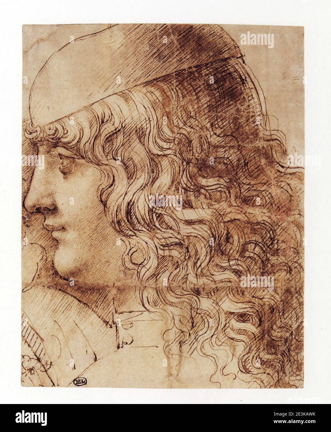 GIOVANNI ANTONIO BOLTRAFFIO. PORTRAIT D'UN JEUNE EN PROFIL. Banque D'Images