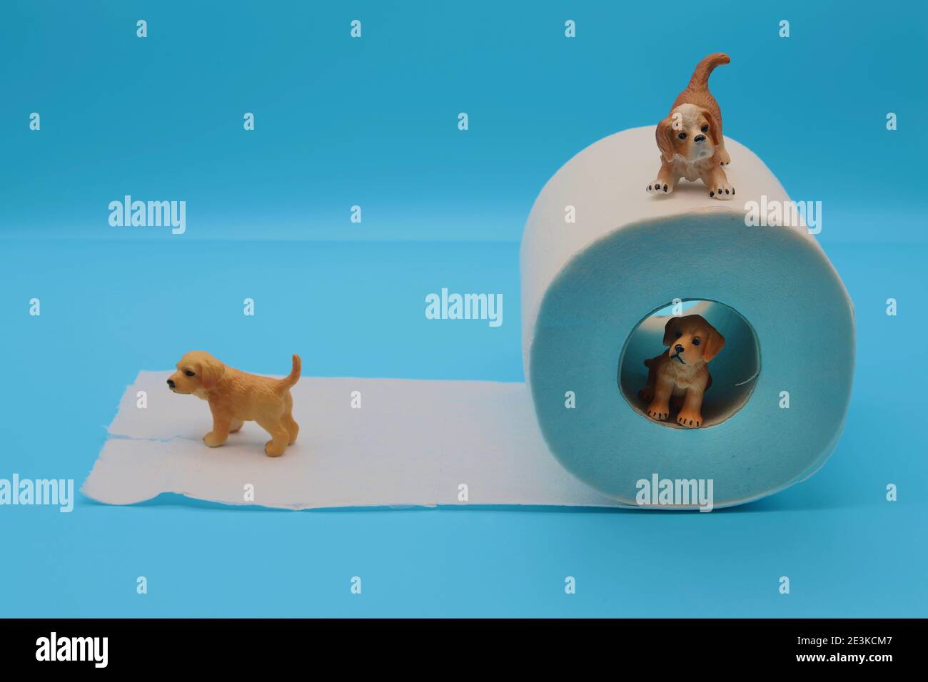 Les toilettes entraînent votre chien de chiot - posé par des modèles. Banque D'Images