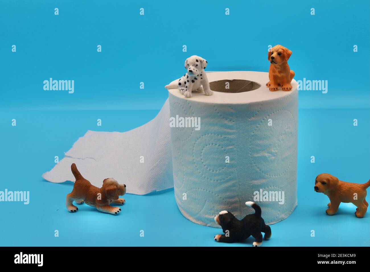 Les toilettes entraînent votre chien de chiot - posé par des modèles. Banque D'Images