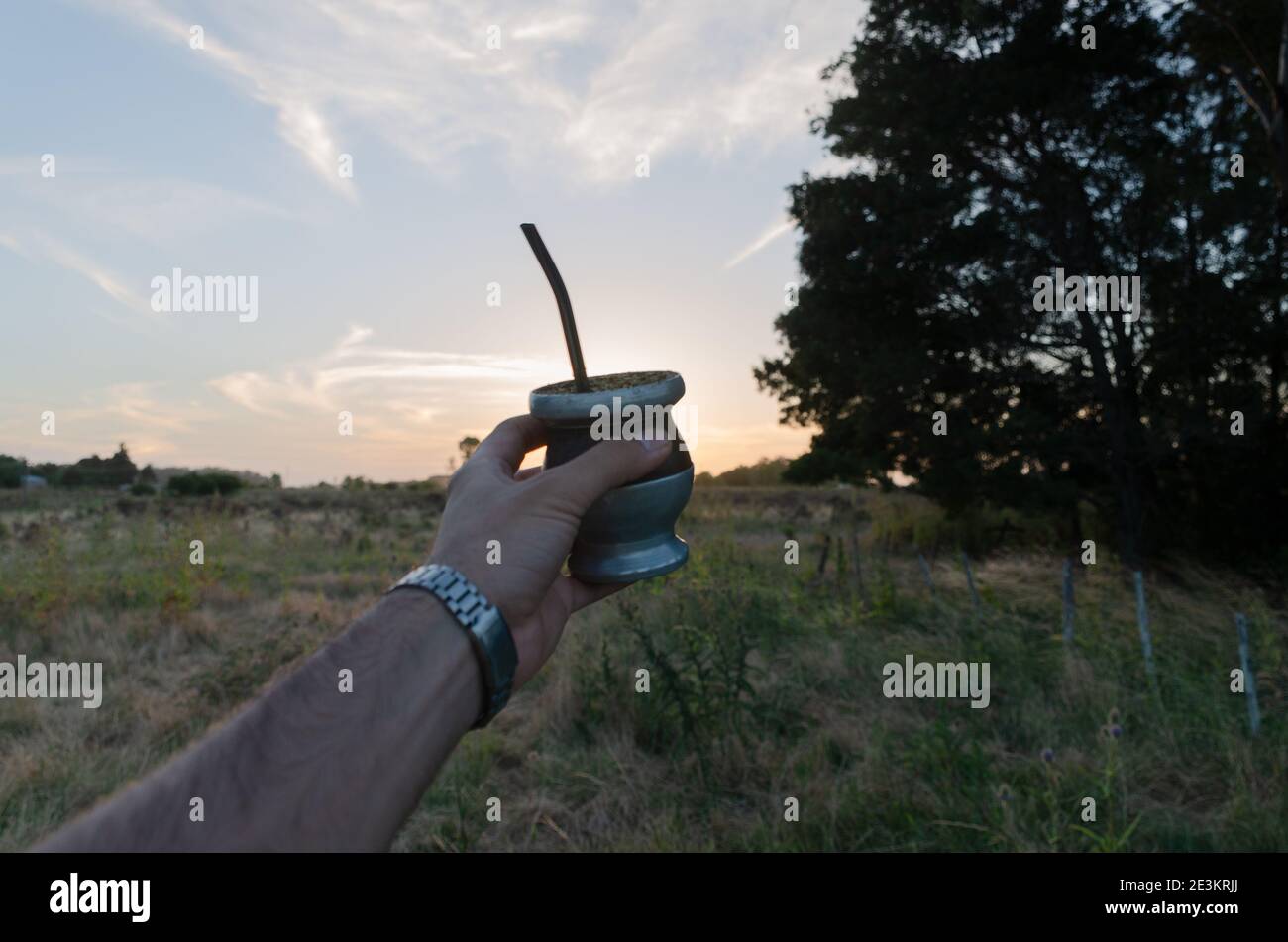 la main prend un compagnon dans la ferme Banque D'Images