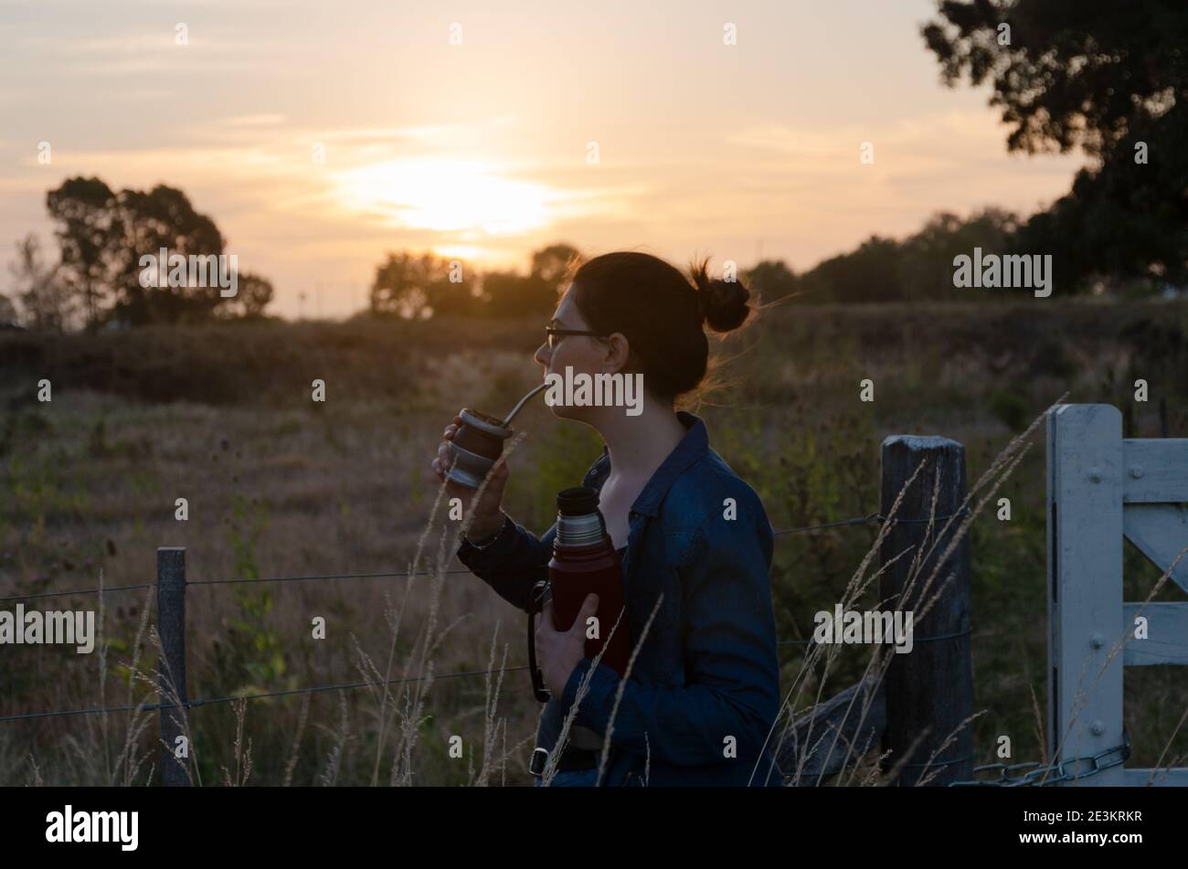 une fille regardant le coucher du soleil et buvant son compagnon dans la campagne Banque D'Images