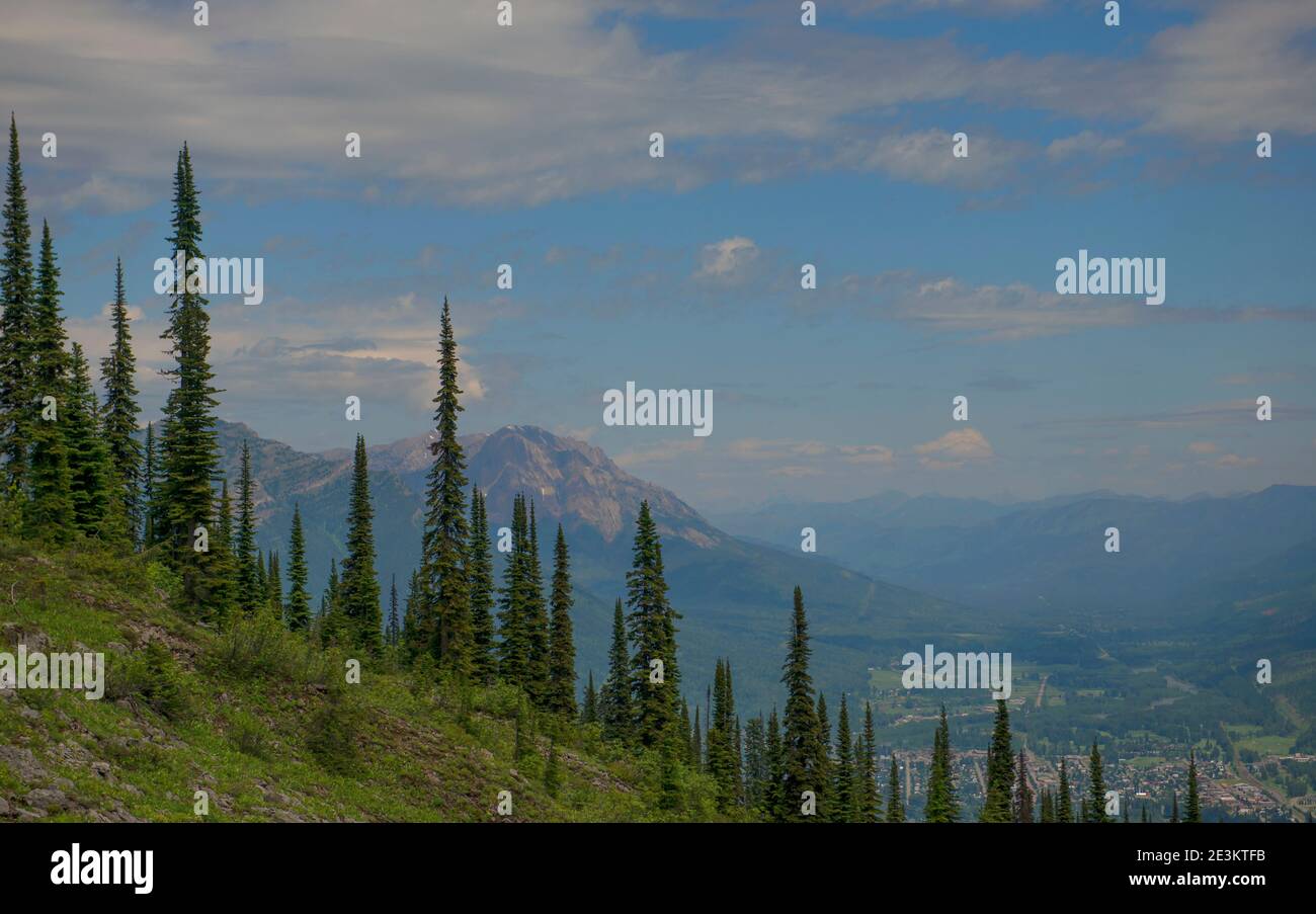 Randonnée à Fernie Alpine Resort Banque D'Images