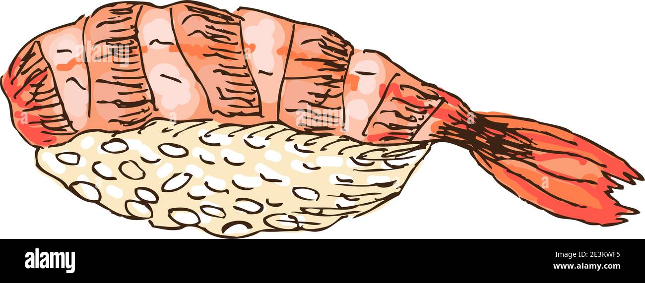 Sushi aux crevettes isolées sur bachkground blanc, illustration vectorielle. Illustration de Vecteur