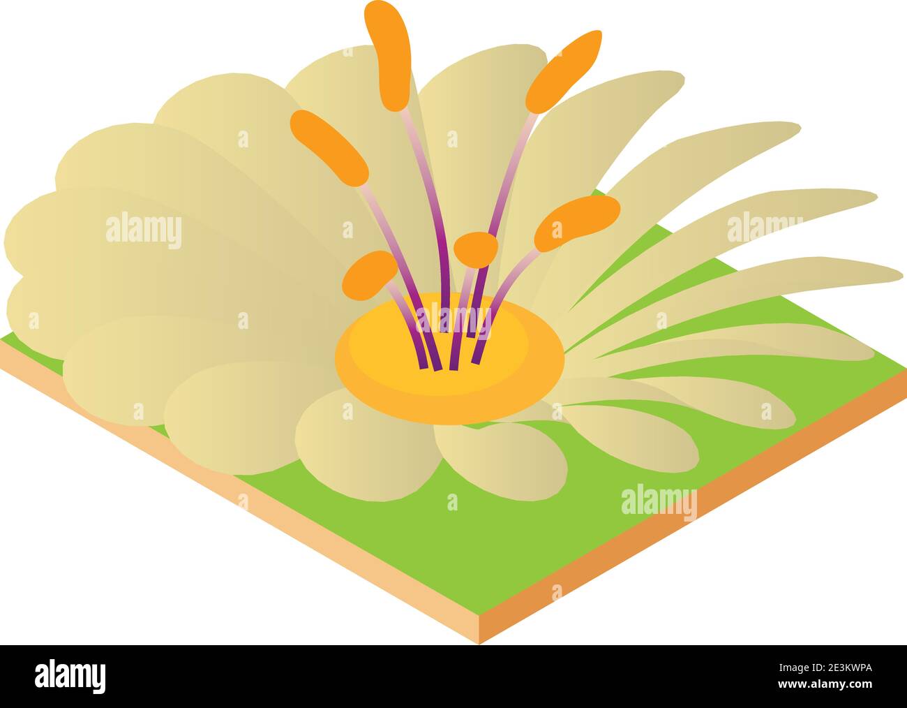 Icône de fleur inhabituelle. Illustration isométrique d'une icône de vecteur de fleur inhabituelle pour la toile Illustration de Vecteur