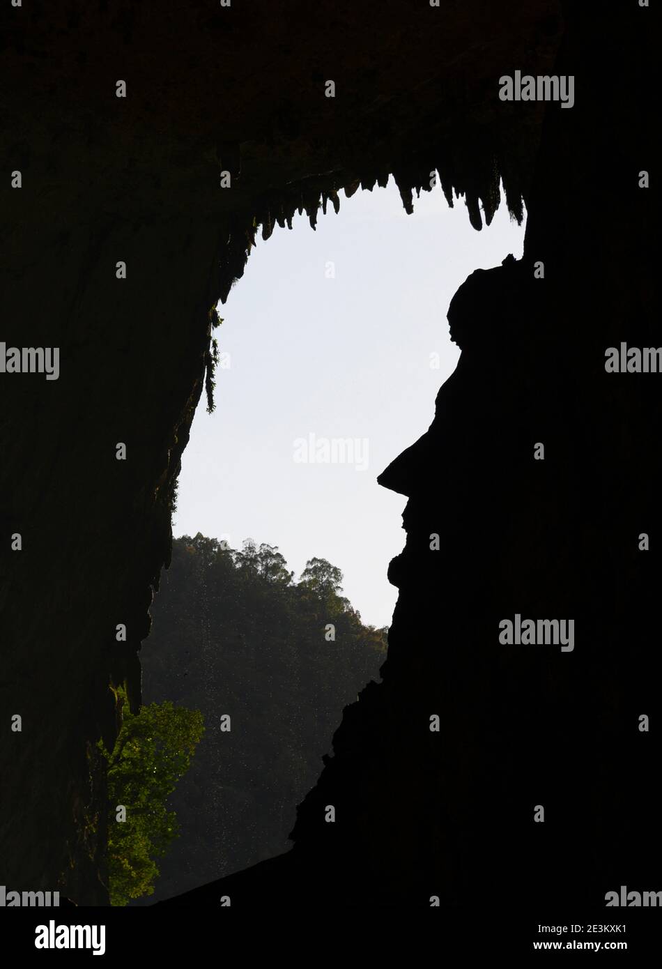 Le profil du visage d'Abraham Lincoln dans les formations rocheuses De la grotte des cerfs en Malaisie Banque D'Images