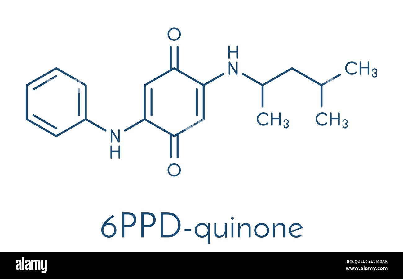 6PPD-quinone, produit de dégradation de l'additif pour caoutchouc 6PPD. Toxique pour le saumon. Formule squelettique. Illustration de Vecteur