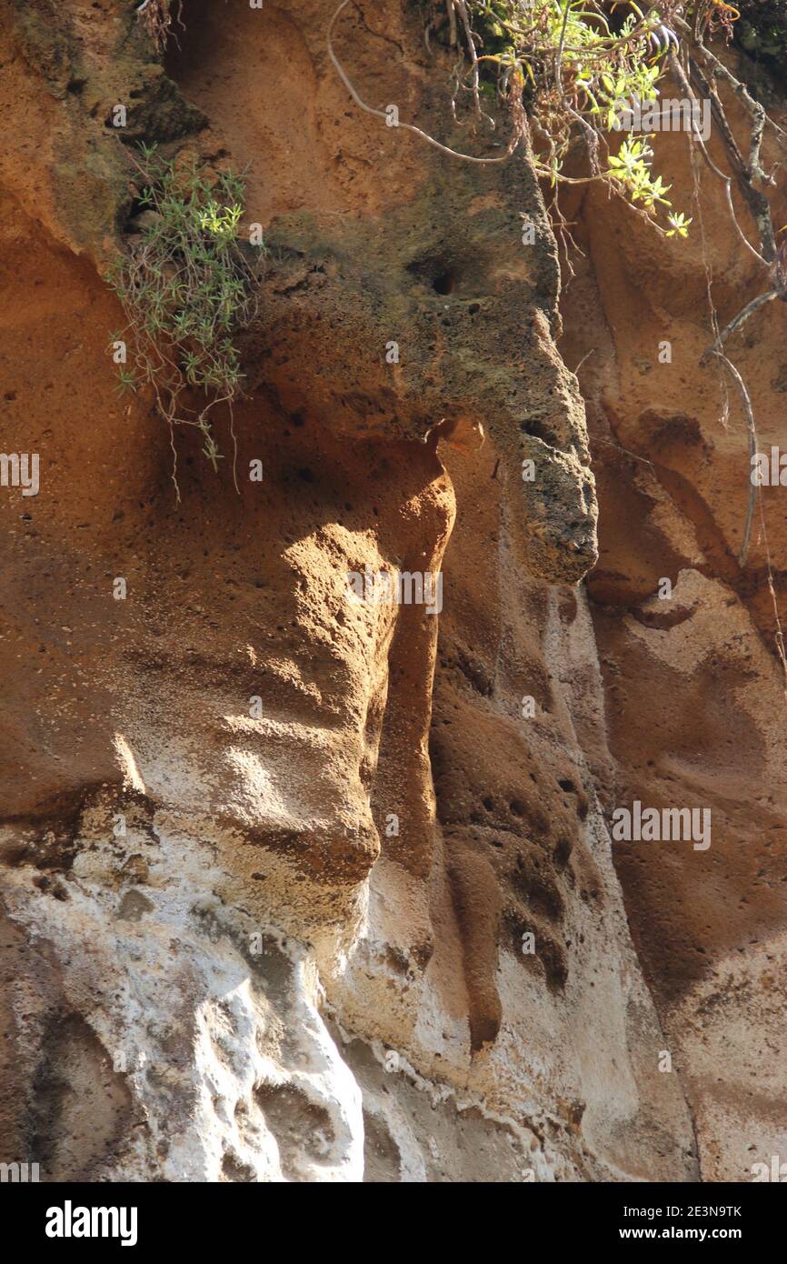 Une formation rocheuse qui ressemble à la tête d'un éléphant La gorge inférieure du parc national de Hell's Gate au Kenya Banque D'Images