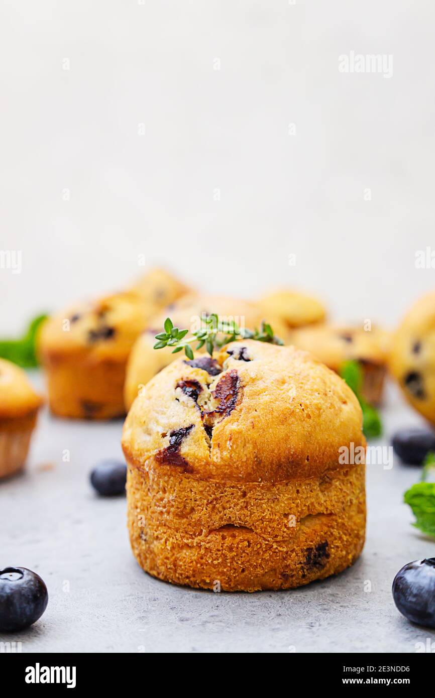 Délicieux muffins aux myrtilles frais faits maison décorés de thym, de baies fraîches et de menthe sur fond de béton gris. Gros plan. Banque D'Images