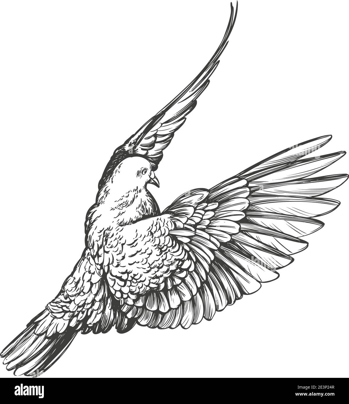 l'oiseau colombe est un symbole de paix et de pureté dessin à la main illustration vectorielle esquisse réaliste. Illustration de Vecteur