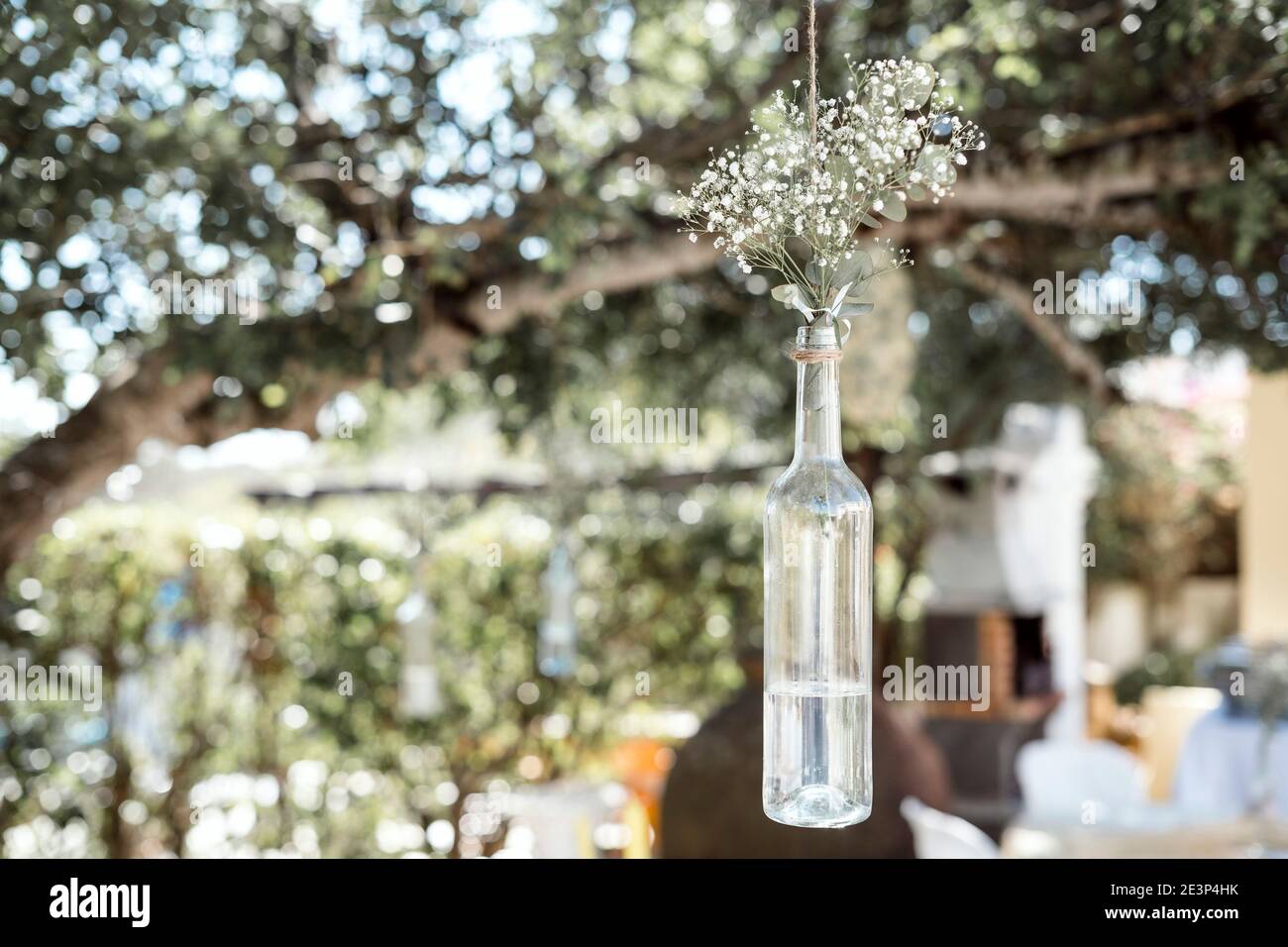 Décoration de mariage rustique - gitsophila en bouteille accrochée sur le arbre Banque D'Images