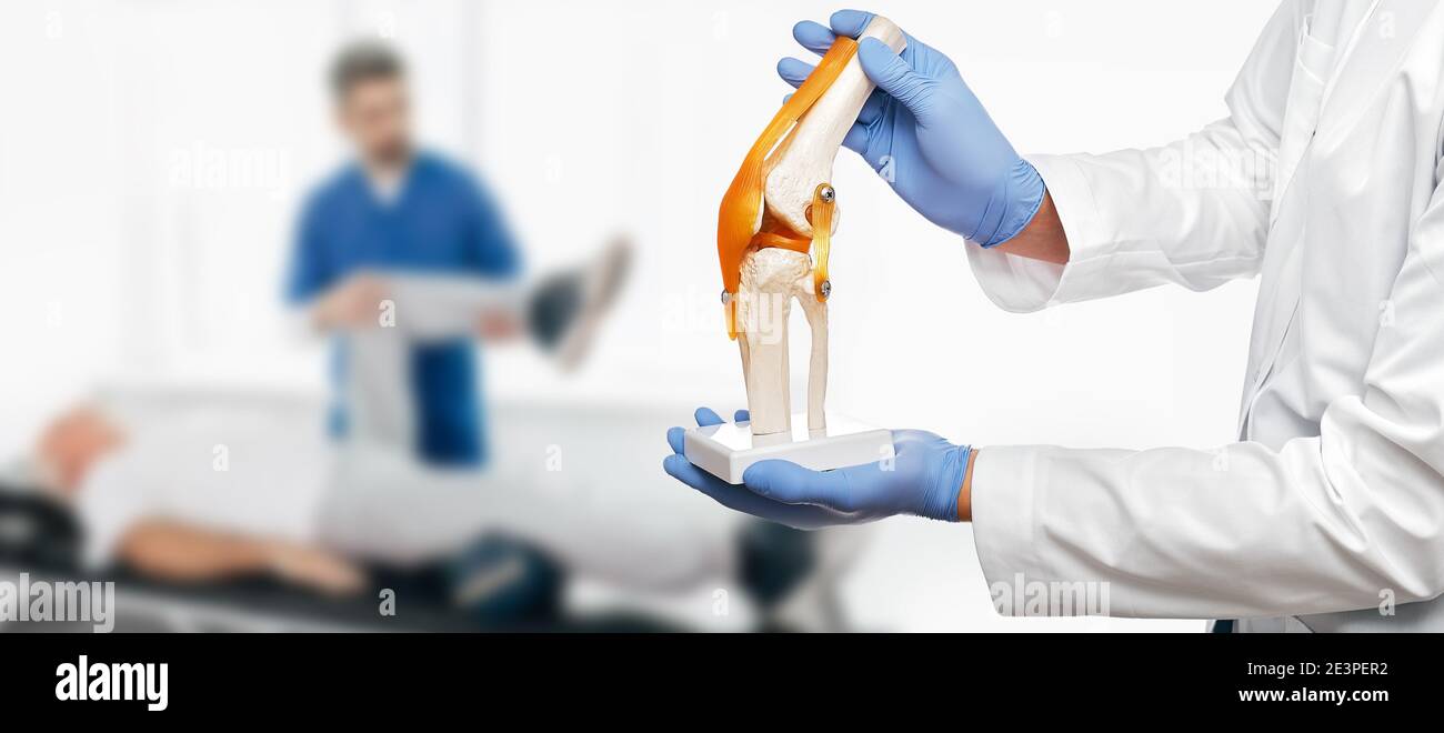 Le physiothérapeute tient dans ses mains un modèle anatomique d'articulation genou-humain, au-dessus d'une séance de physiothérapie de fond pour un patient âgé. Concept physio Banque D'Images