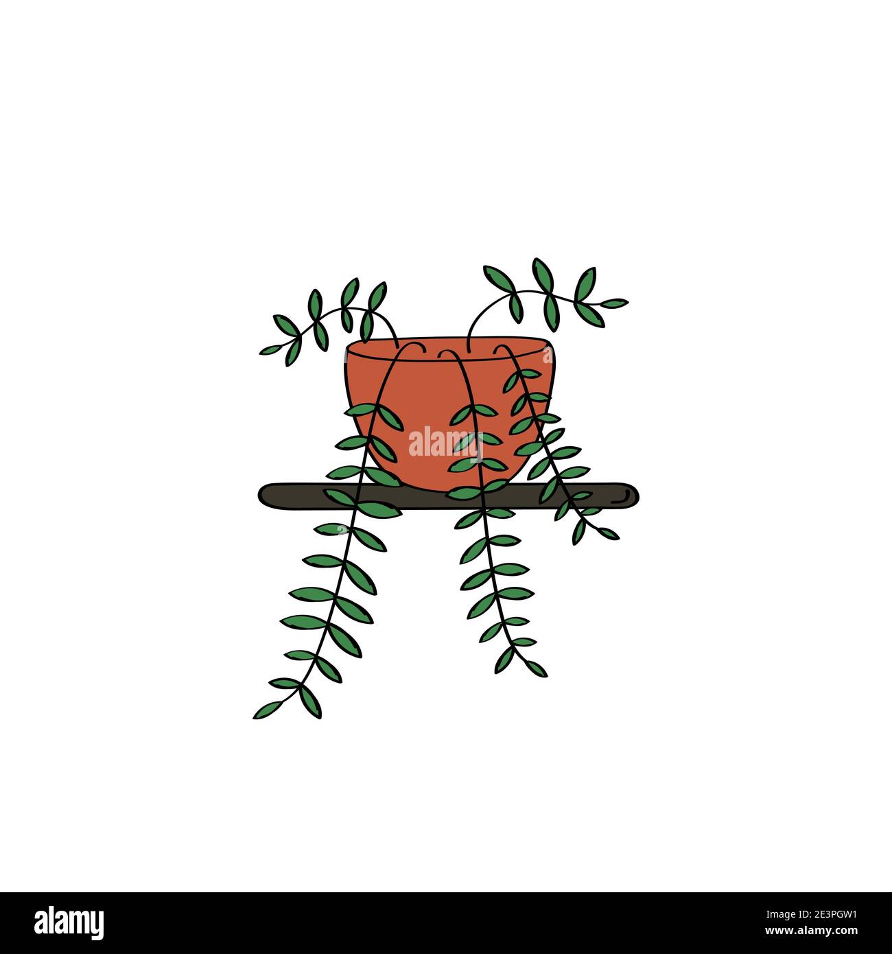 Icône Tradescantia dessinée à la main. Illustration de l'usine. Affiche de fleurs de la salle. Motif de caniche plat vectoriel Illustration de Vecteur