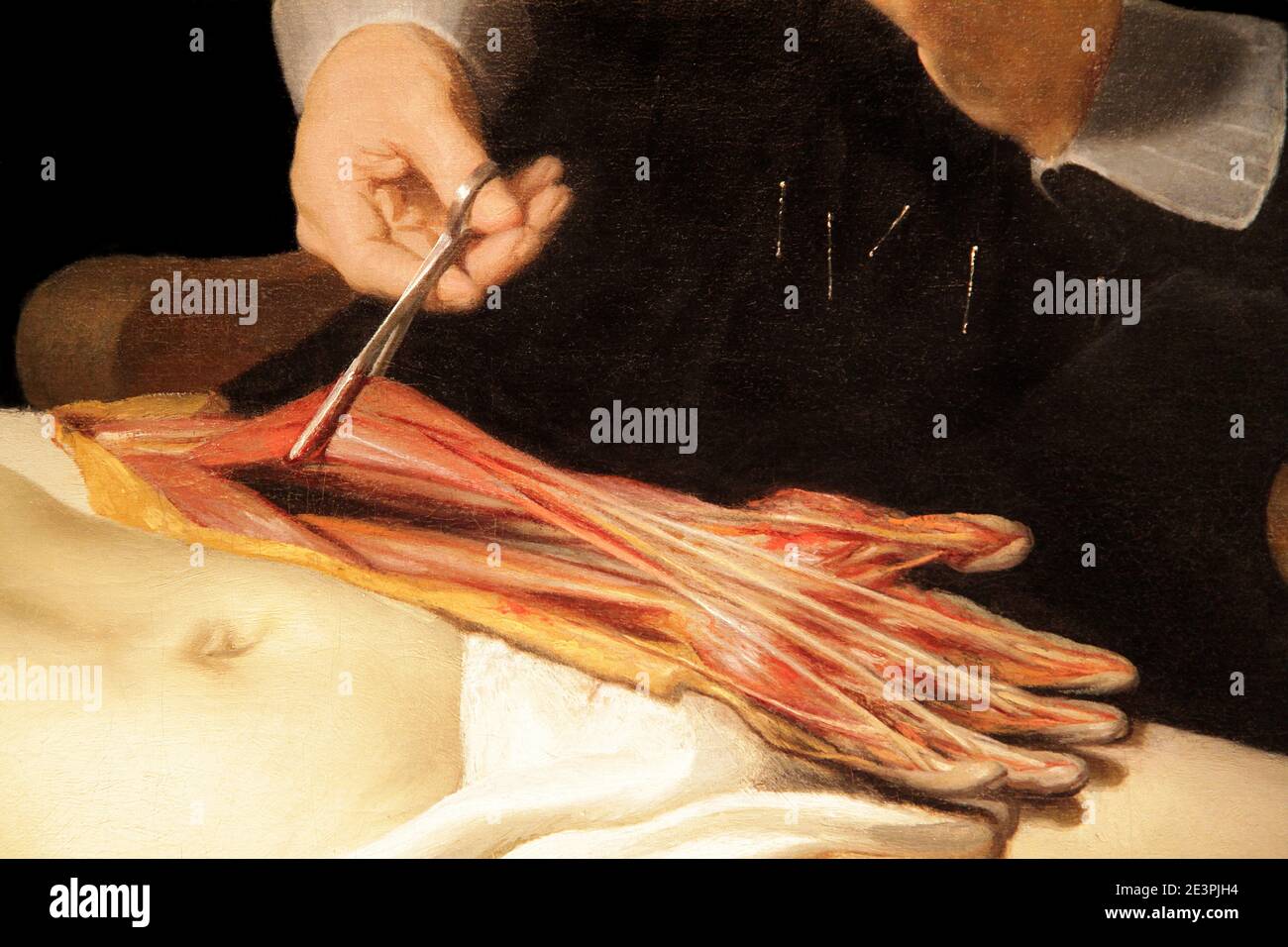 Détail de la leçon d'anatomie du Dr Nicolaes Tulp 1632 par Rembrandt van Rijn 1606-1669.dans le travail, Dr. Nicolaes Tulp explique la musculature du bras. Banque D'Images