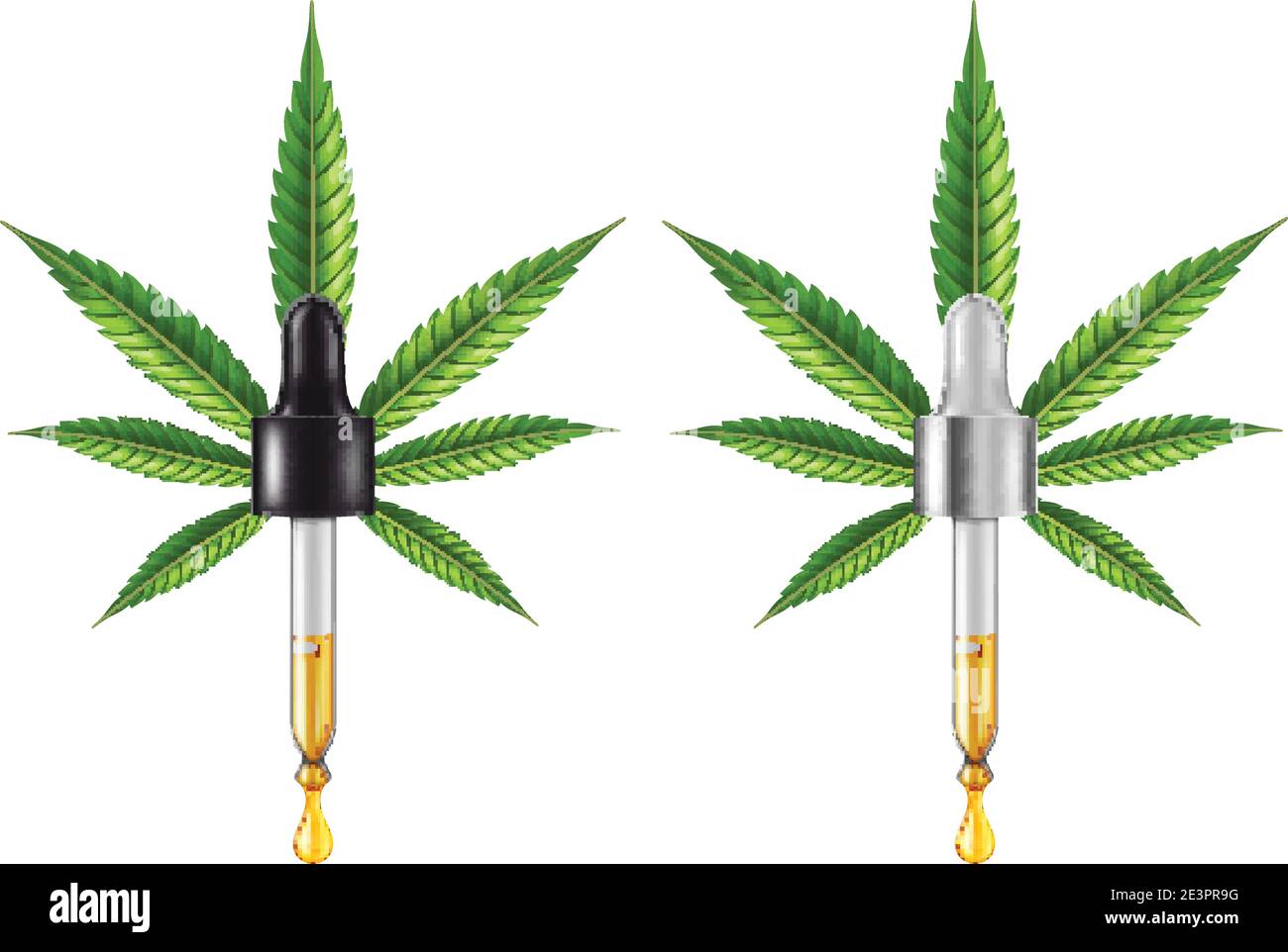 Cannabis médical ( marijuana ) compte-gouttes pour les feuilles et les yeux avec de l'huile essentielle de CBD. Illustration vectorielle. Illustration de Vecteur