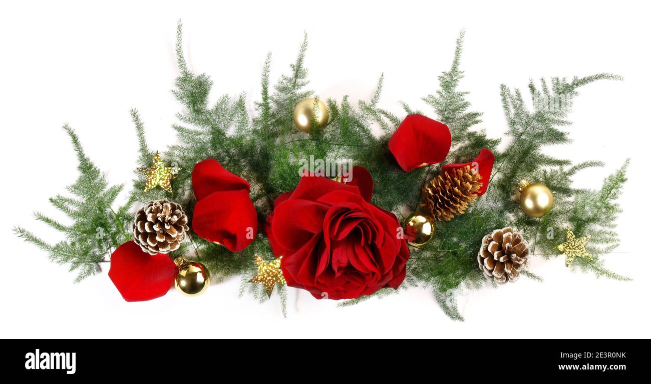 Bannière de décoration de Noël avec roses et pétales de rose Panorama isolé Sur fond blanc Banque D'Images