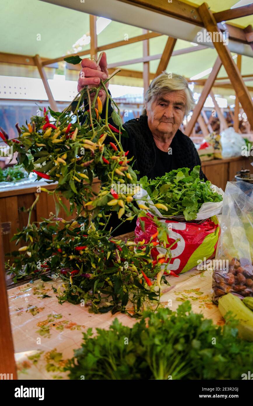 Vendeur détenant un bouquet de piments, marché de la porte dans la vieille ville vendant des fruits et légumes frais, Zadar, Dalmatie, Croatie Banque D'Images
