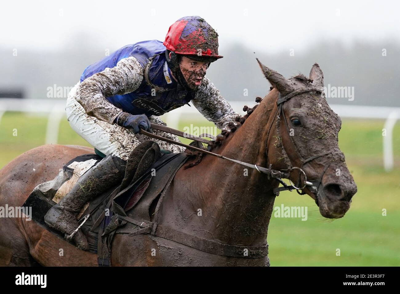 Jockey Robert Dunne en action à l'hippodrome de Newbury. Date de la photo: Mercredi 20 janvier 2021. Banque D'Images