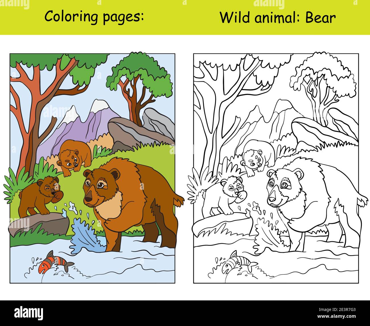 Page de coloriage vectoriel avec des ours mignons dans la région montagneuse. Illustration colorée isolée par un dessin animé. Page de livre de coloriage et modèle de couleur. Pour colorier Illustration de Vecteur