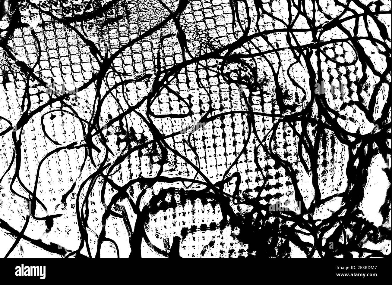 image abstraite monochrome graphique de filets de jardin Banque D'Images