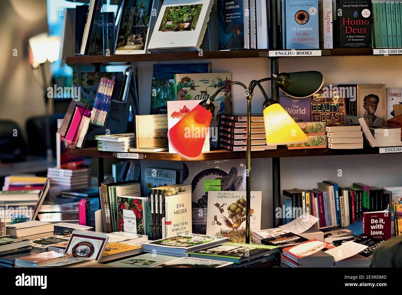 AUTRICHE / Vienne /librairies / phil un café et une librairie cool à Vienne. Banque D'Images