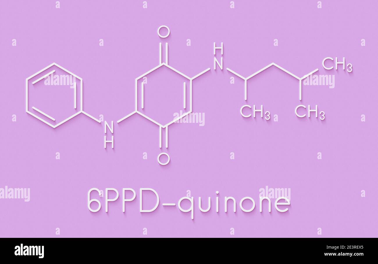 6PPD-quinone, produit de dégradation de l'additif pour caoutchouc 6PPD. Toxique pour le saumon. Formule squelettique. Banque D'Images