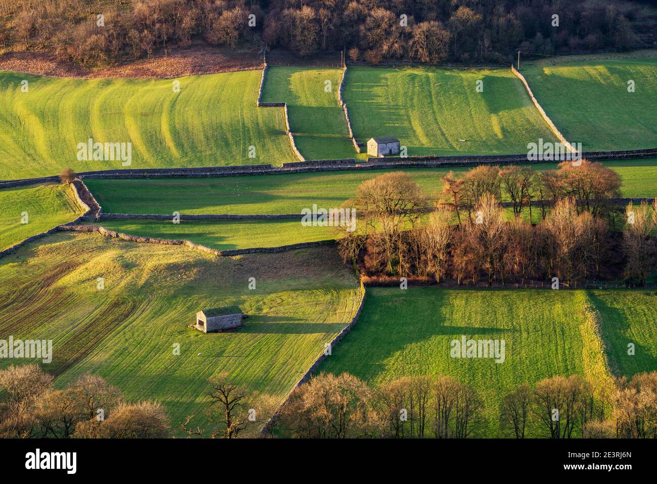 La faible lumière d'hiver met en lumière le paysage de Littondale dans le Yorkshire Dales, avec deux granges de campagne et un patchwork de murs de pierre sèche en avant. Banque D'Images